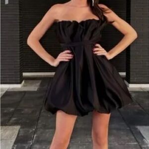 Zara Studio Organza Balloon Mini Dress